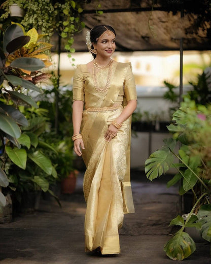Aab Kanchivaram Jari Silk Saree Collection with Rich Pallu - Posyfish.in